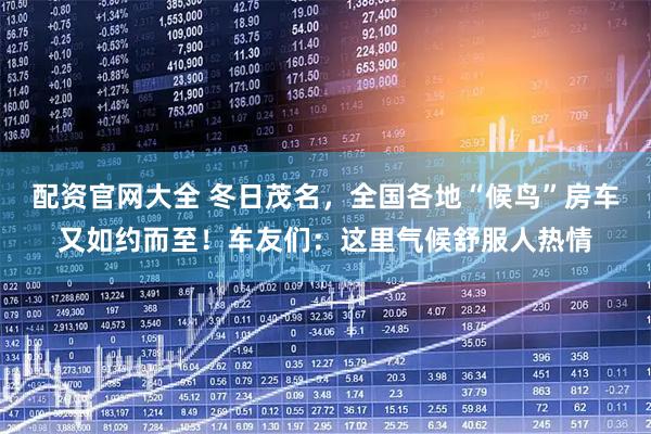 配资官网大全 冬日茂名，全国各地“候鸟”房车又如约而至！车友们：这里气候舒服人热情
