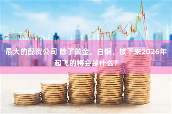 最大的配资公司 除了黄金，白银，接下来2026年起飞的将会是什么？